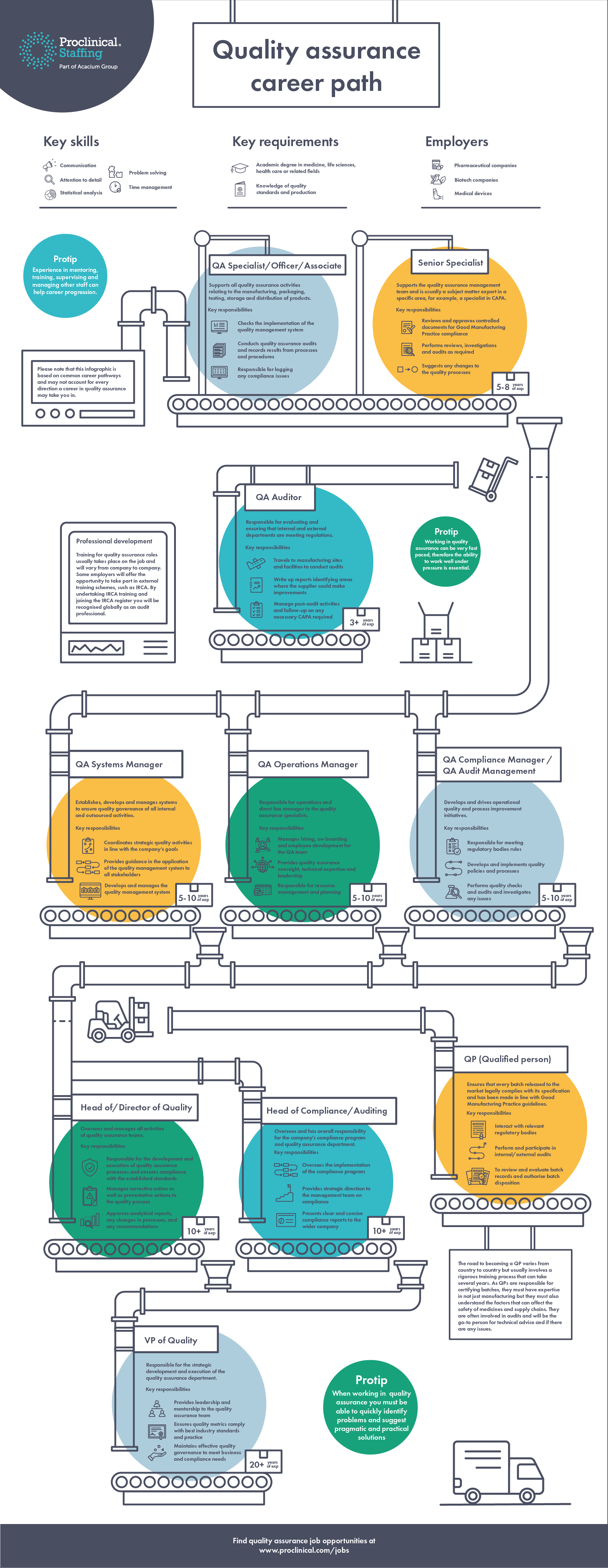 Infographic: Quality assurance career path
